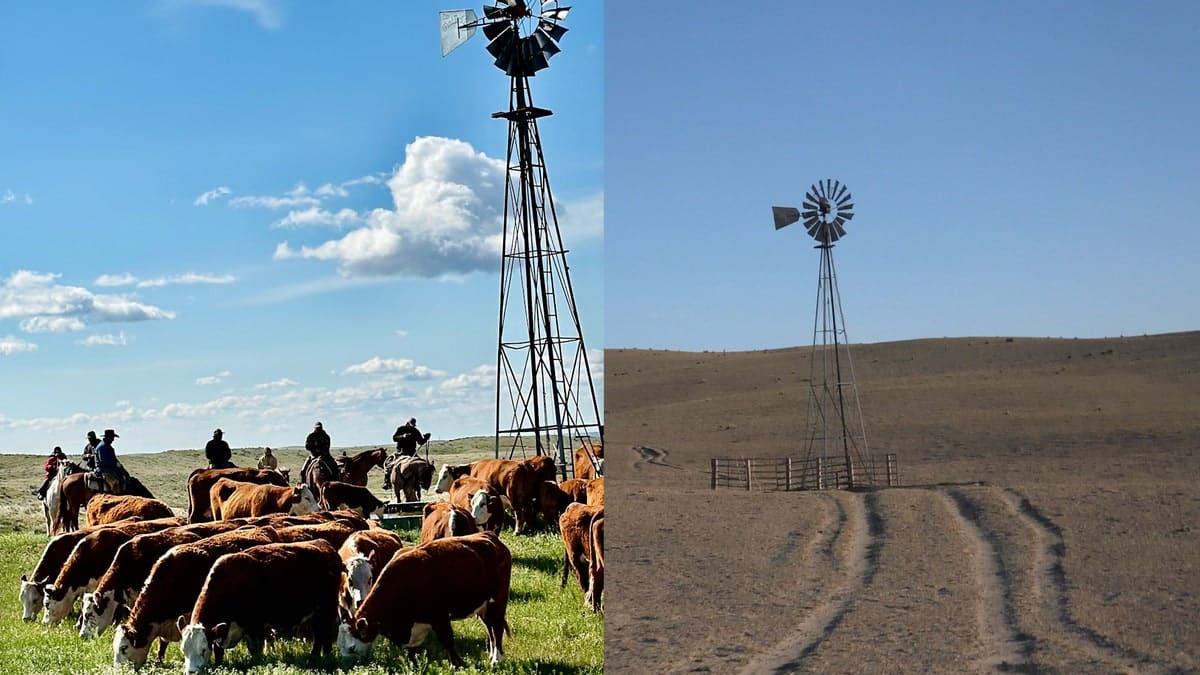 Before and after Morrill wildfire