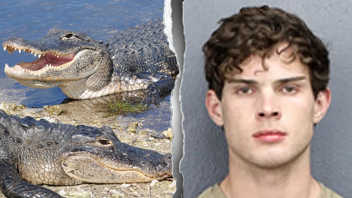 A mugshot of Braden Eric Peters, a 20-year-old social media tycoon