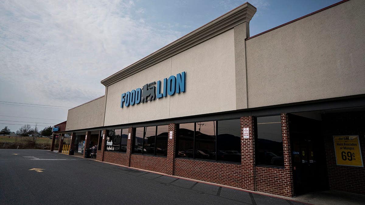 Food Lion grocery store building in Elkton, Virginia