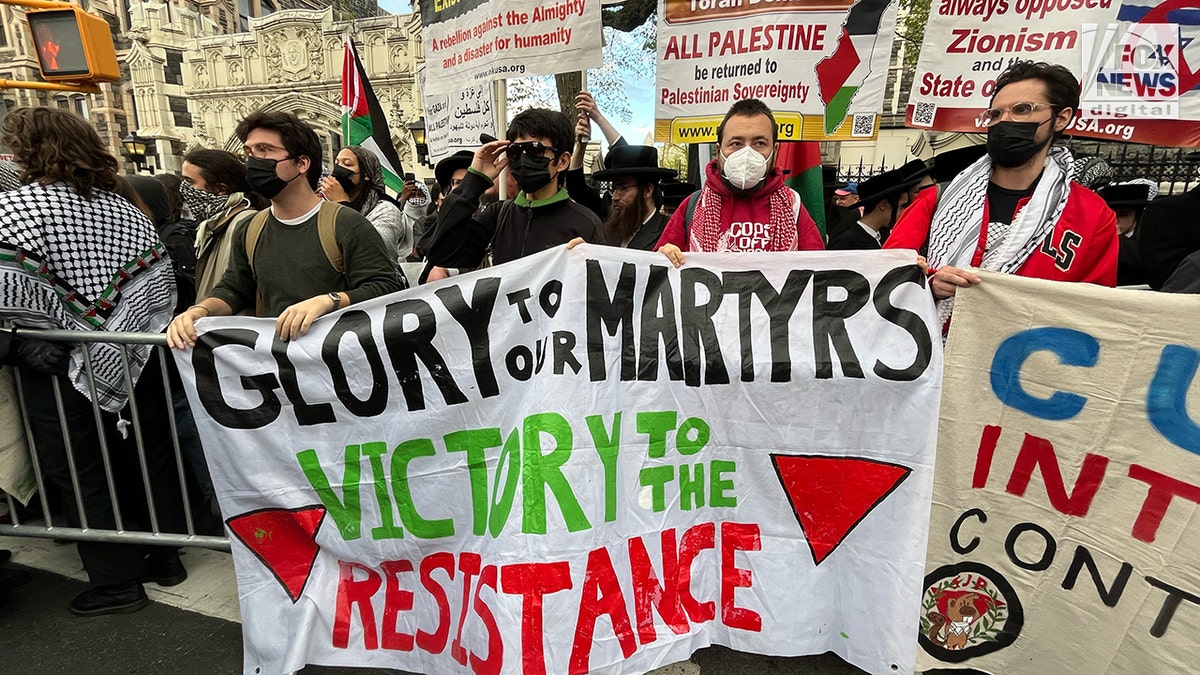 Anti-Israel protesters in nYC