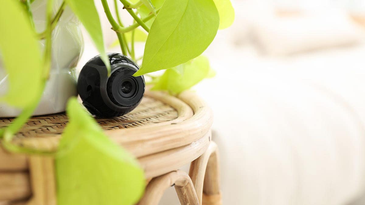 Small hidden camera placed near houseplant on table in room