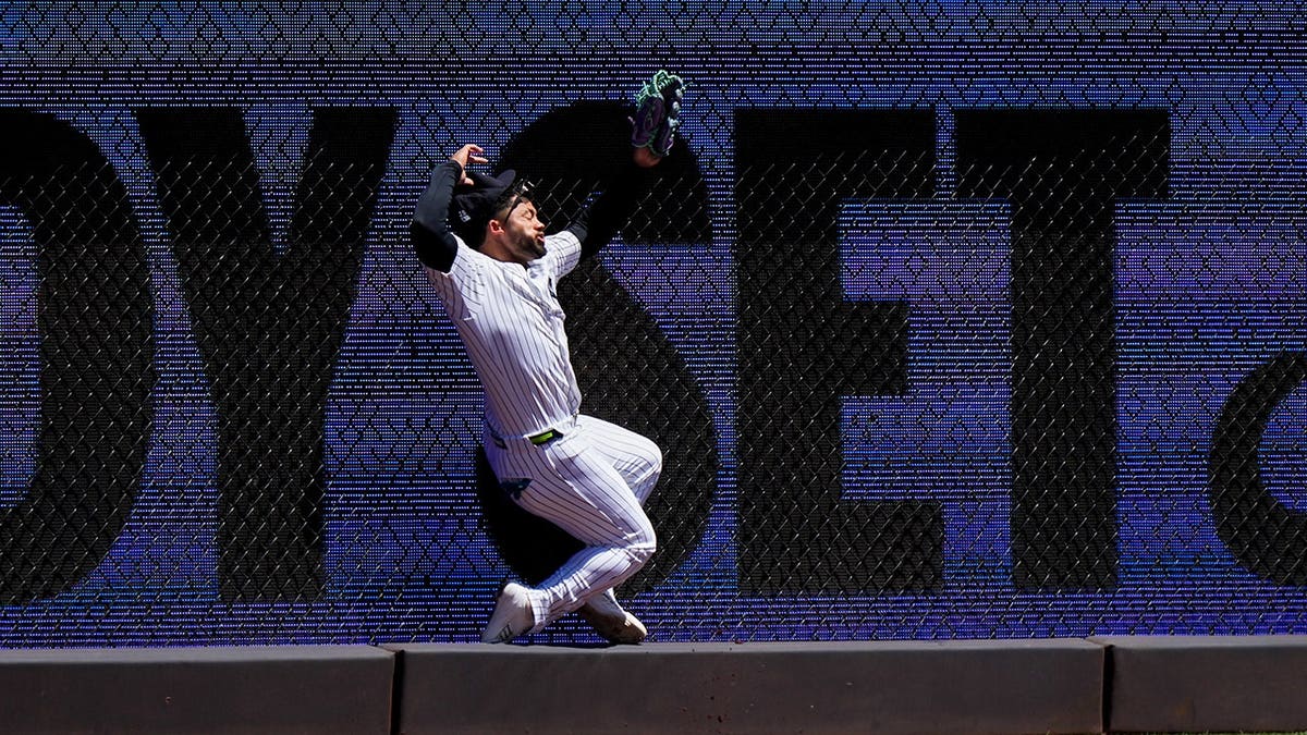New York Yankees' Jasson Domínguez injured while catching ball during baseball game