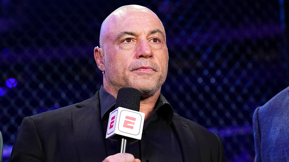 Joe Rogan speaking into a microphone at UFC 309 event in Madison Square Garden New York City