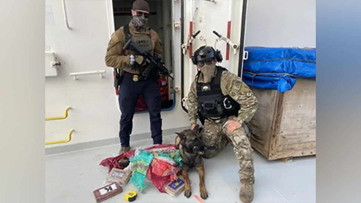 Federal agents seized roughly 500 pounds of cocaine aboard an oil tanker off the California coast, authorities said