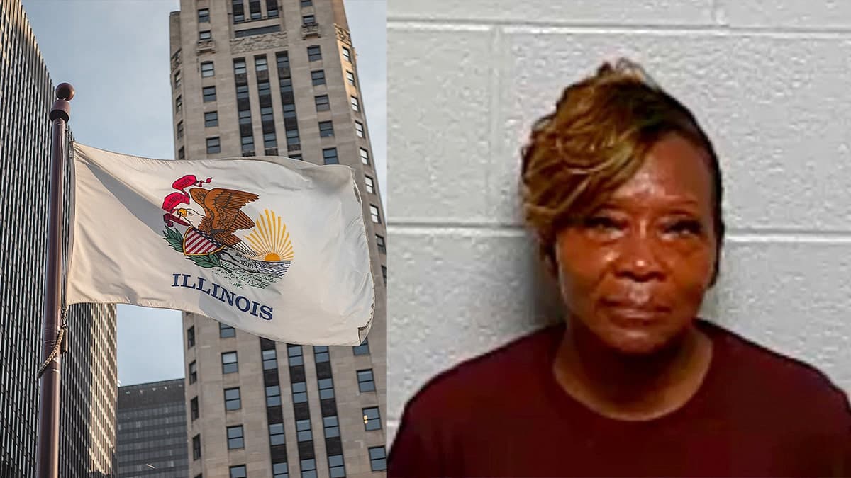 Mugshot of Illinois official arrested for casting ballot in dead mother's name