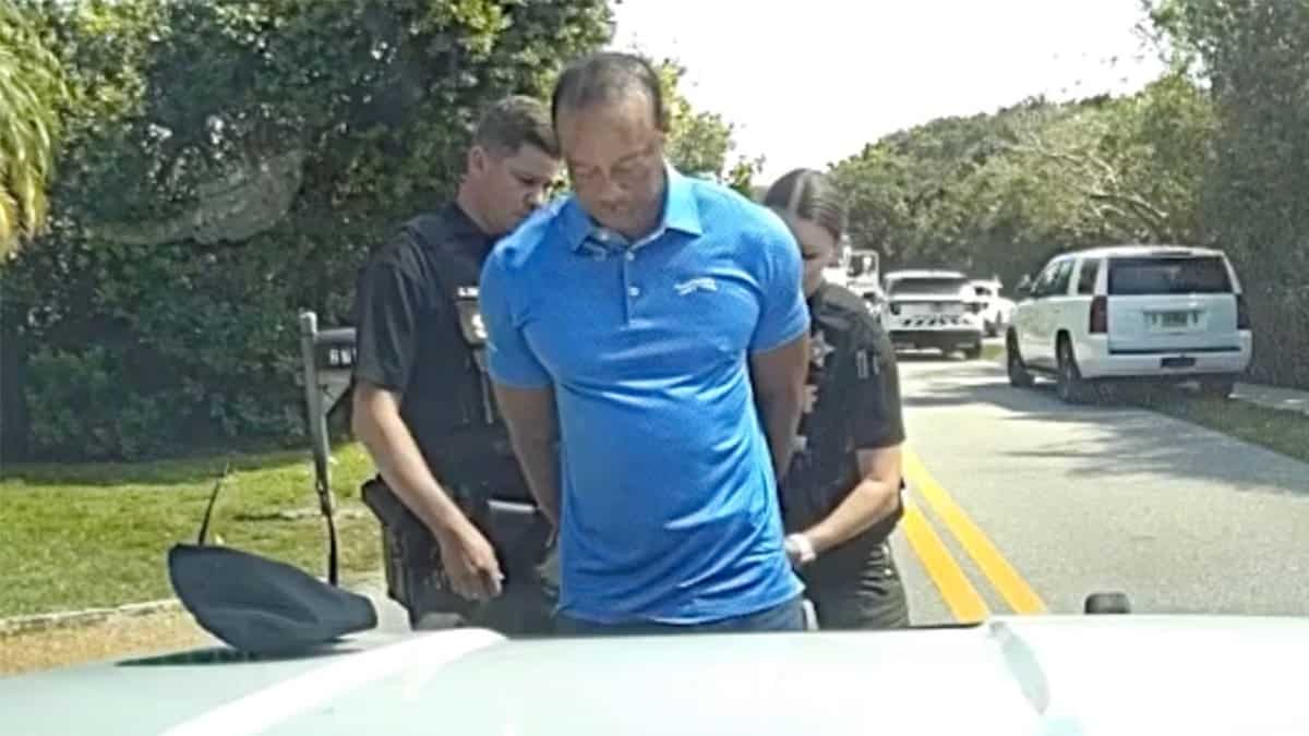 Tiger handcuffed