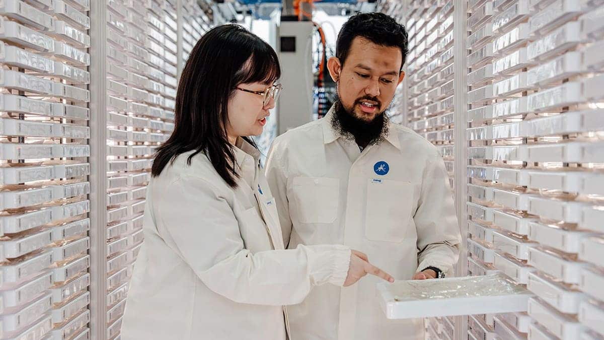 Google Debug project workers