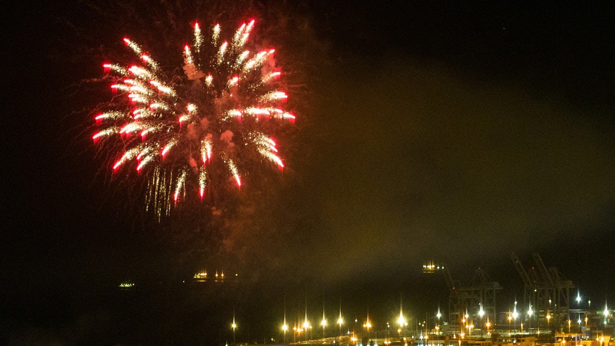 Los Angeles fireworks