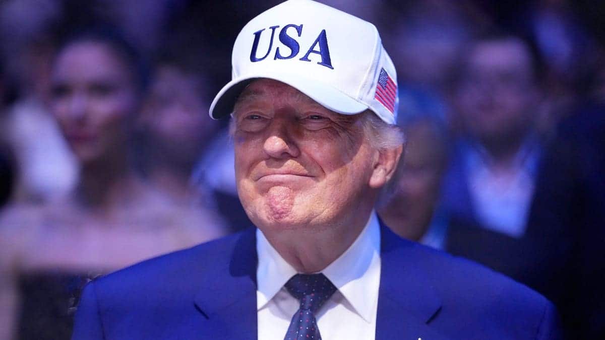 trump watching UFC fight