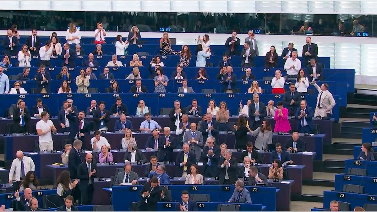 Members of the European Parliament