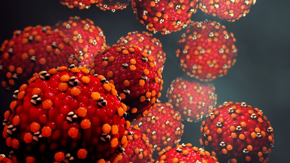 3D illustration of measles virus particles