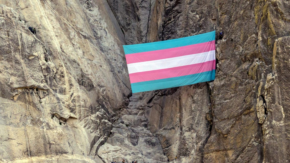 A group of transgender queer allied climbers unfurl a trans pride flag on El Capitan in Yosemite National Park