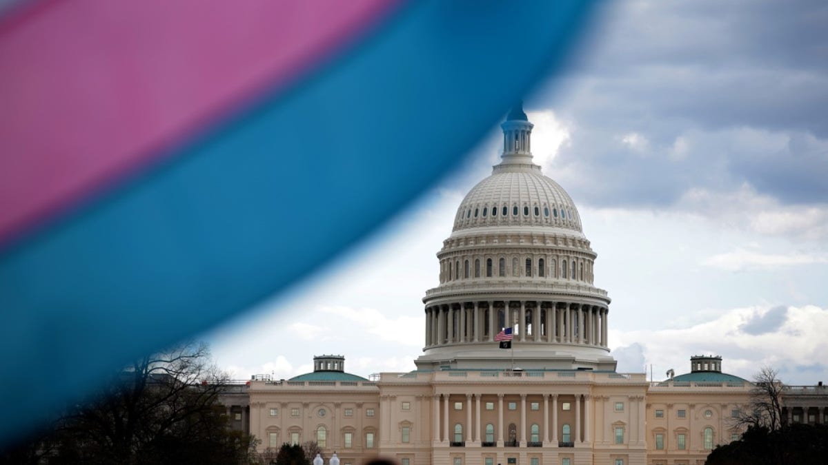 Transgender Pride Flag displayed with U.S. Capitol Building in background in Washington, D.C.