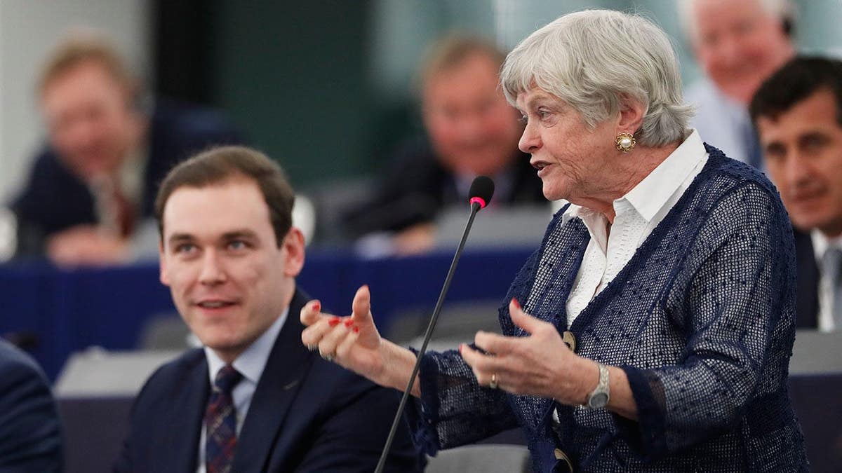 Ann Widdecombe speaks during a debate at the European Parliament.