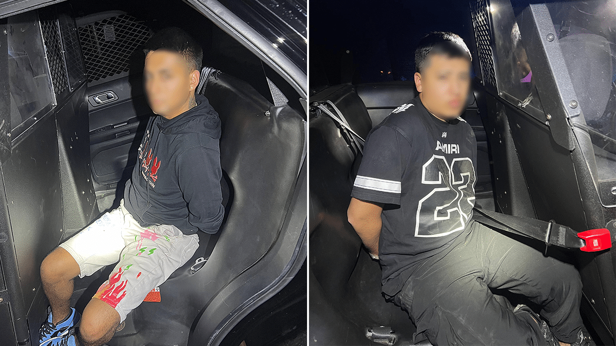 California arrests