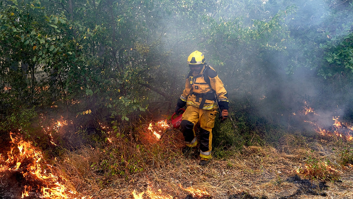 Fontainebleau Forest Fire