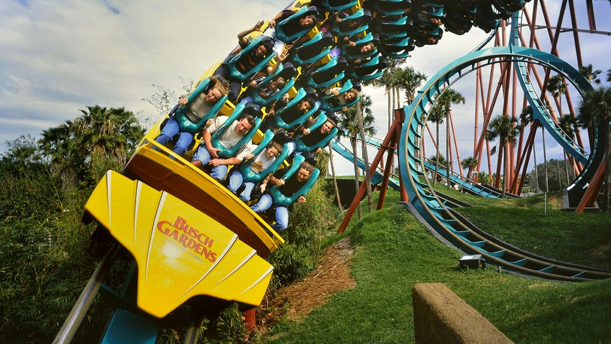 Kumba roller coaster twists through a corkscrew at Busch Gardens in Tampa, Florida.