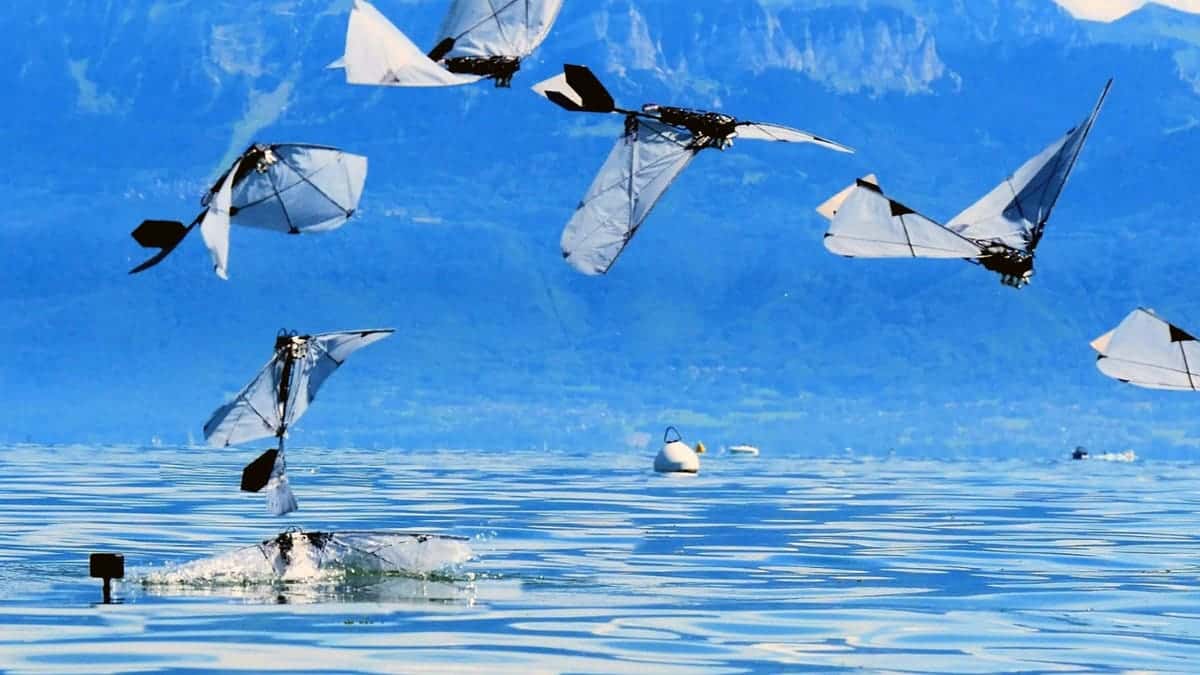 A robot bird launches into flight from the water.