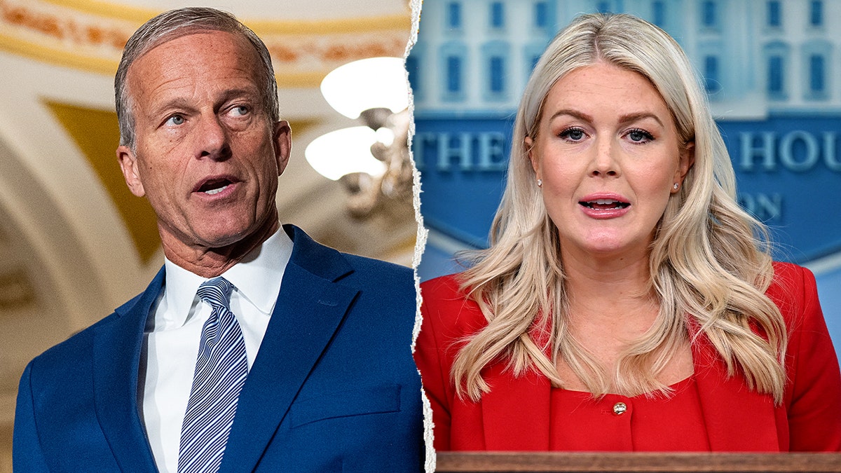 Thune Leavitt split