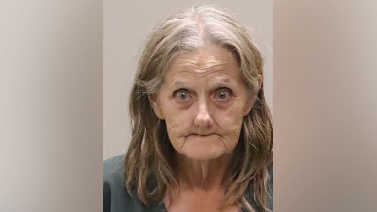 Florida mail carrier charged in animal hoarding case