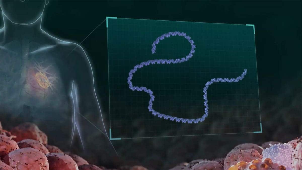 Diagram of vaccine mechanics