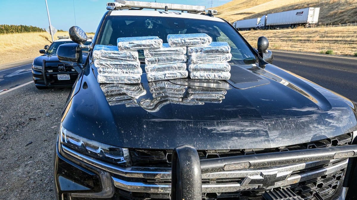 Approximately 30 pounds of suspected cocaine