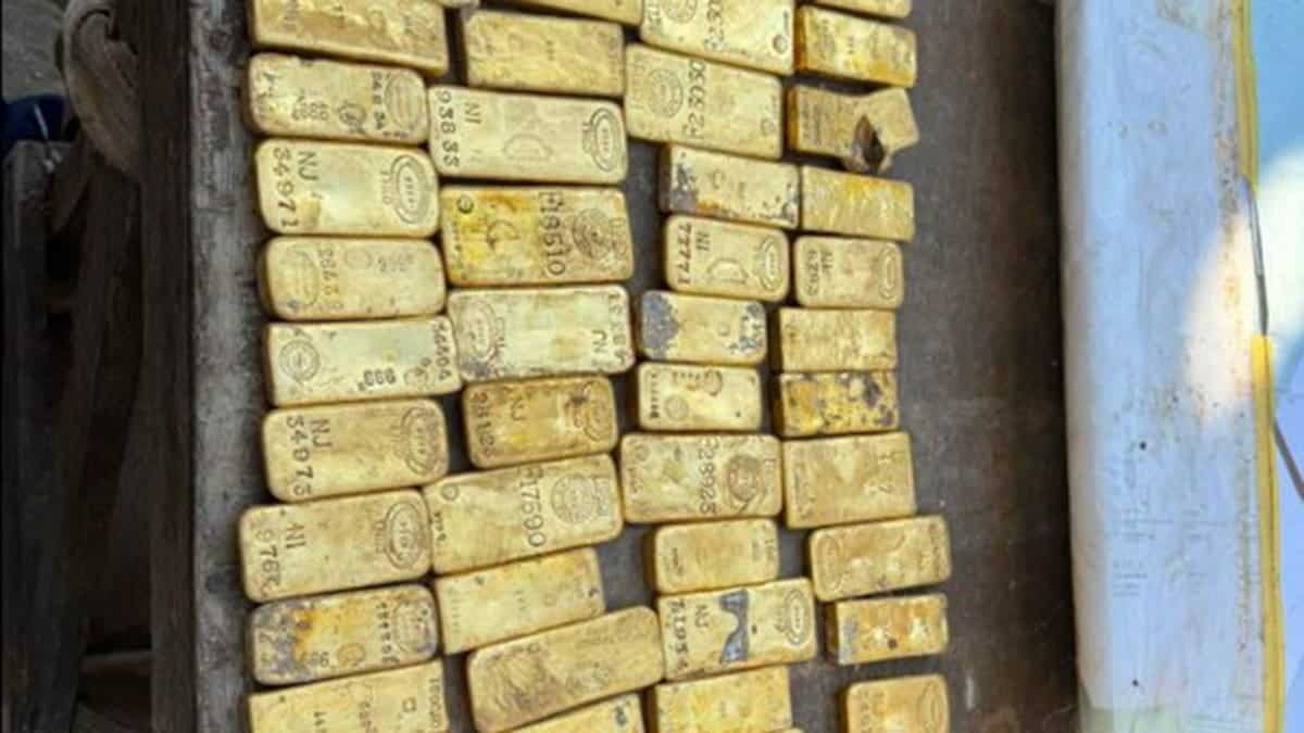 gold bars