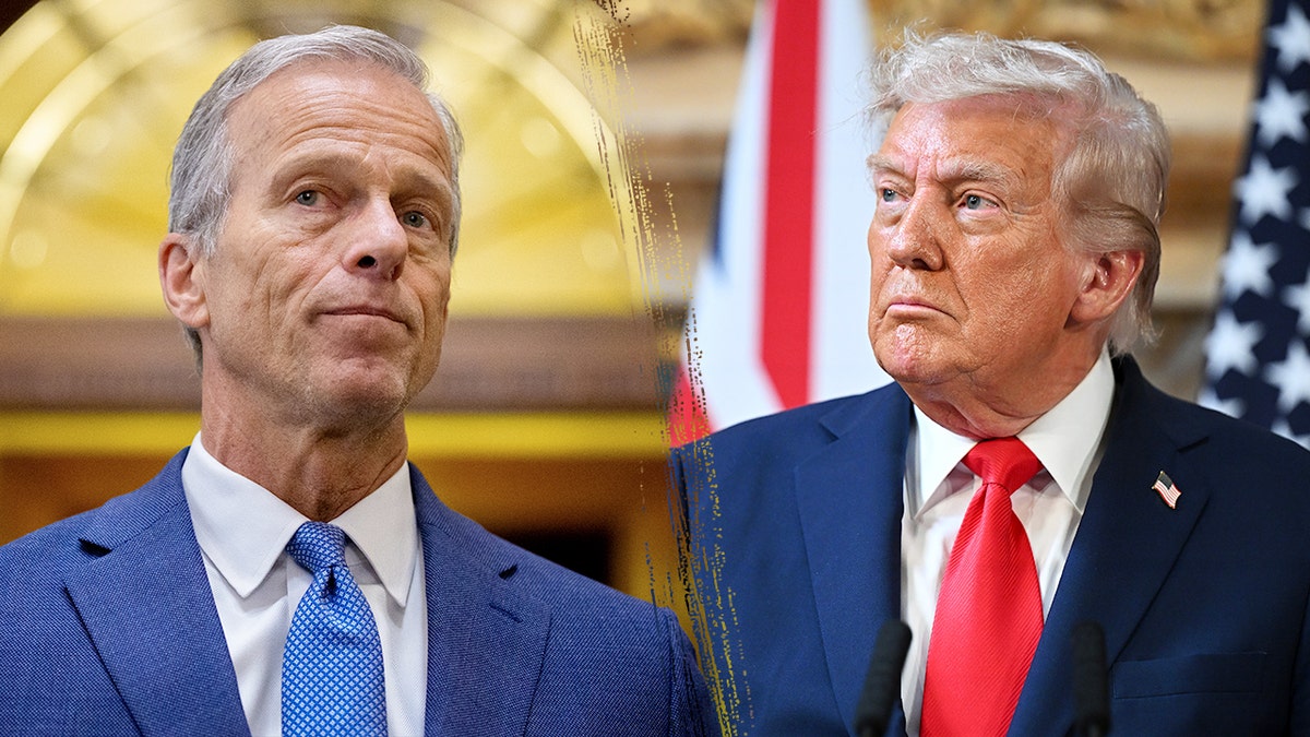 A side by side of John Thune and Donald Trump.
