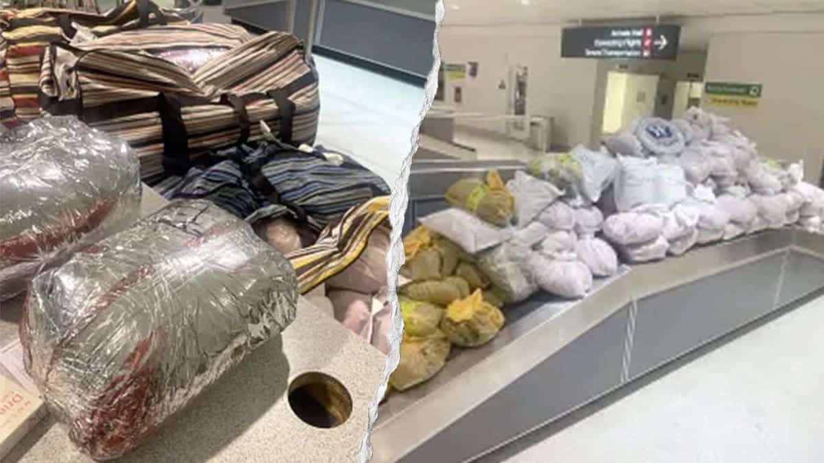 A large quantity of khat at an airport