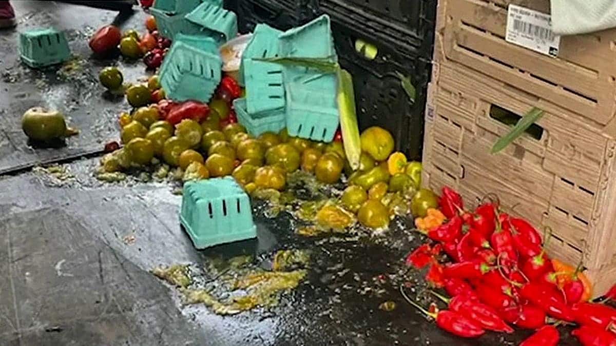 Ruined produce from a small farm's ransacked van in Pennsylvania