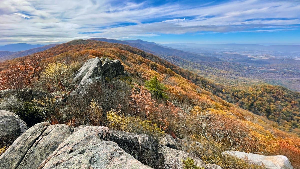 A person walks through woods at Shenandoah National Park.
