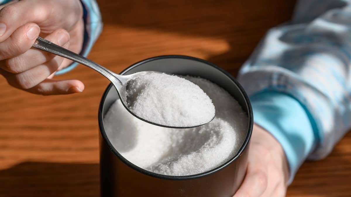 Xylitol sugar substitute