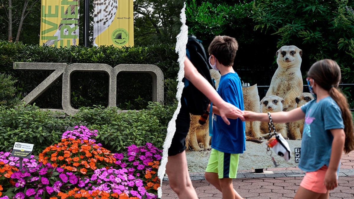 A Fox News Digital review found the National Zoo has promoted DEI, LGBTQ and environmental-justice initiatives.