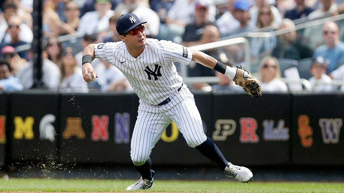 Anthony Volpe of the New York Yankees stands in action at Yankee Stadium.