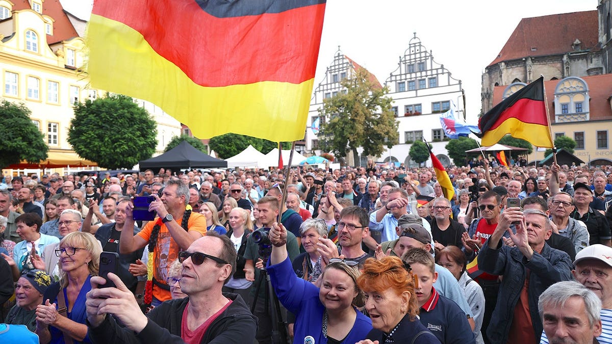 Germany elections