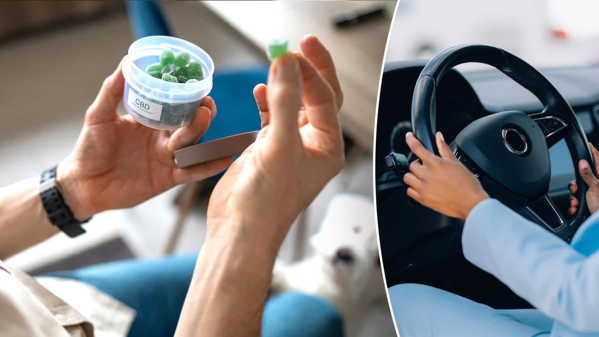 Cannabis gummies and driving