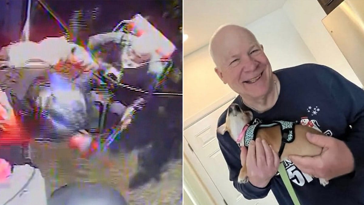 split photo of craig berg smiling and officials hoisting man into helicopter