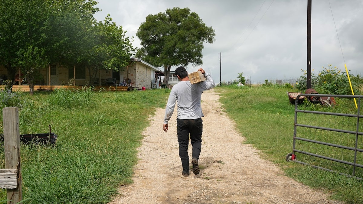 Farm worker in Texas