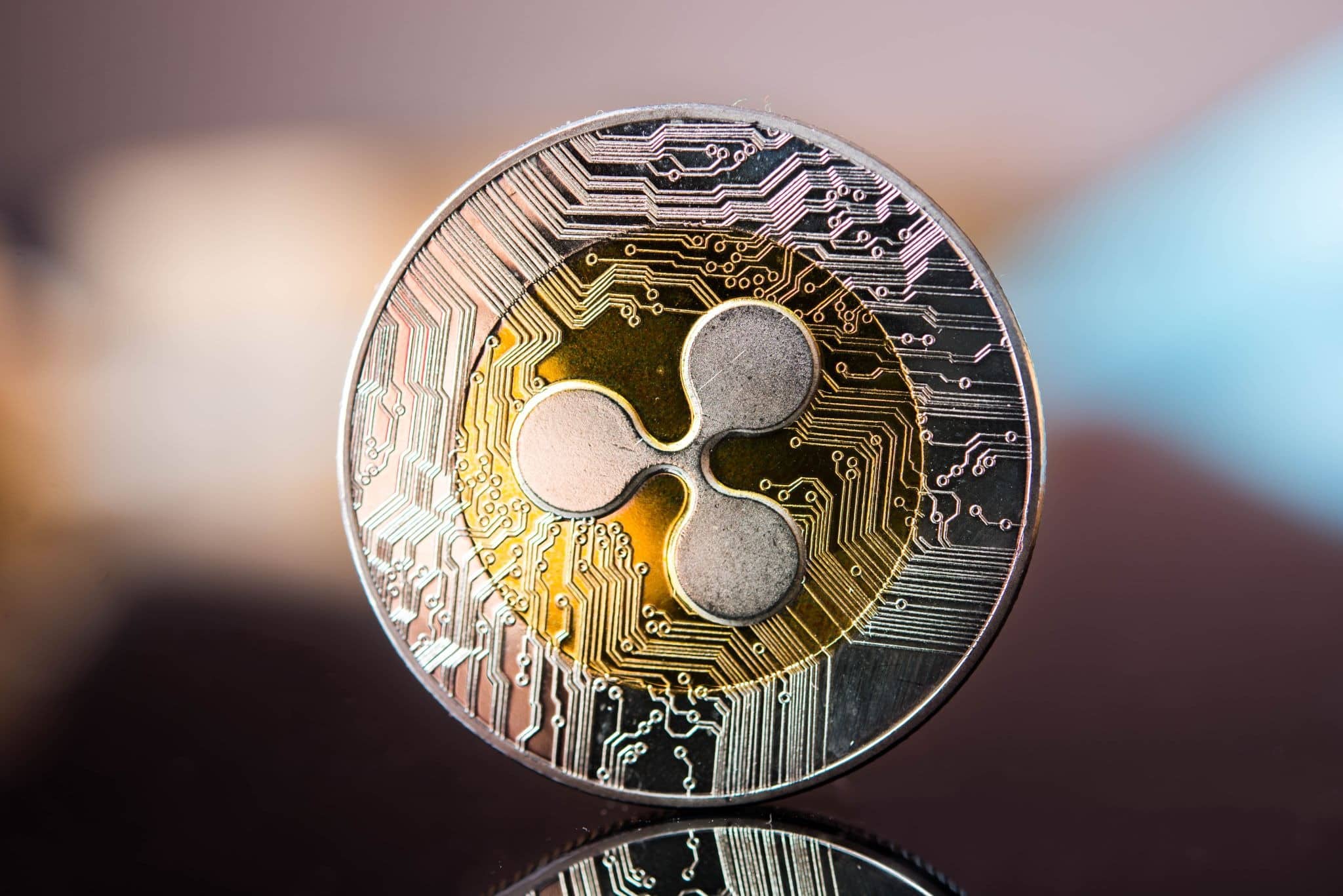 What Beginners Should Know Before Buying XRP: How to Evaluate the Investment Case