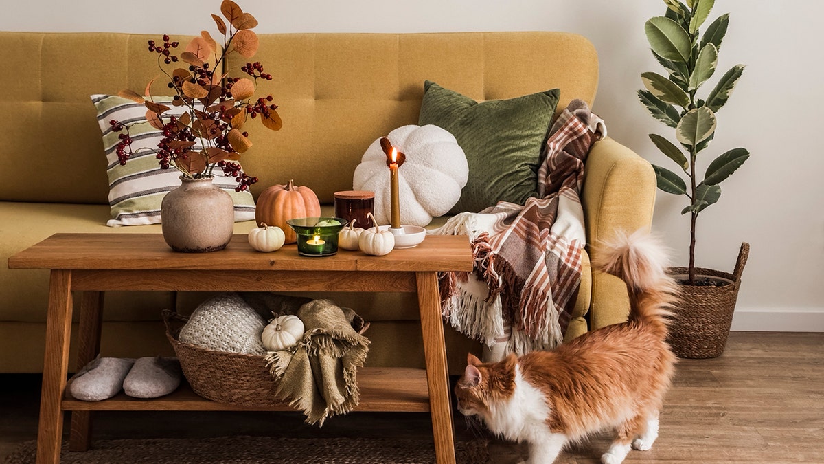 Blankets, cookware and lighting are all less than $50 at Amazon, Wayfair and Michaels.