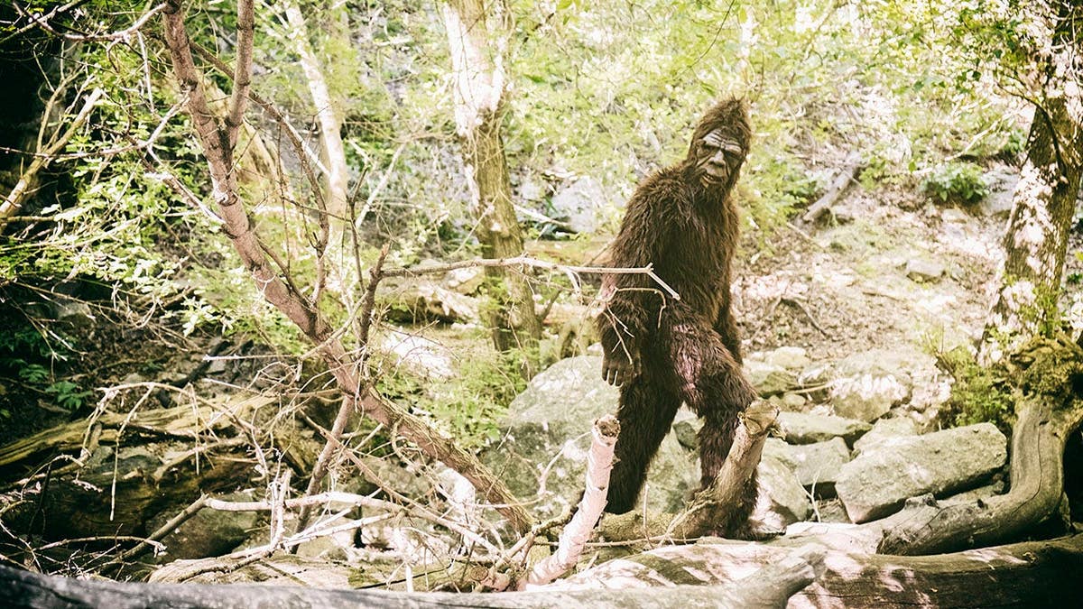 Sasquatch walks through wilderness with vintage tone.