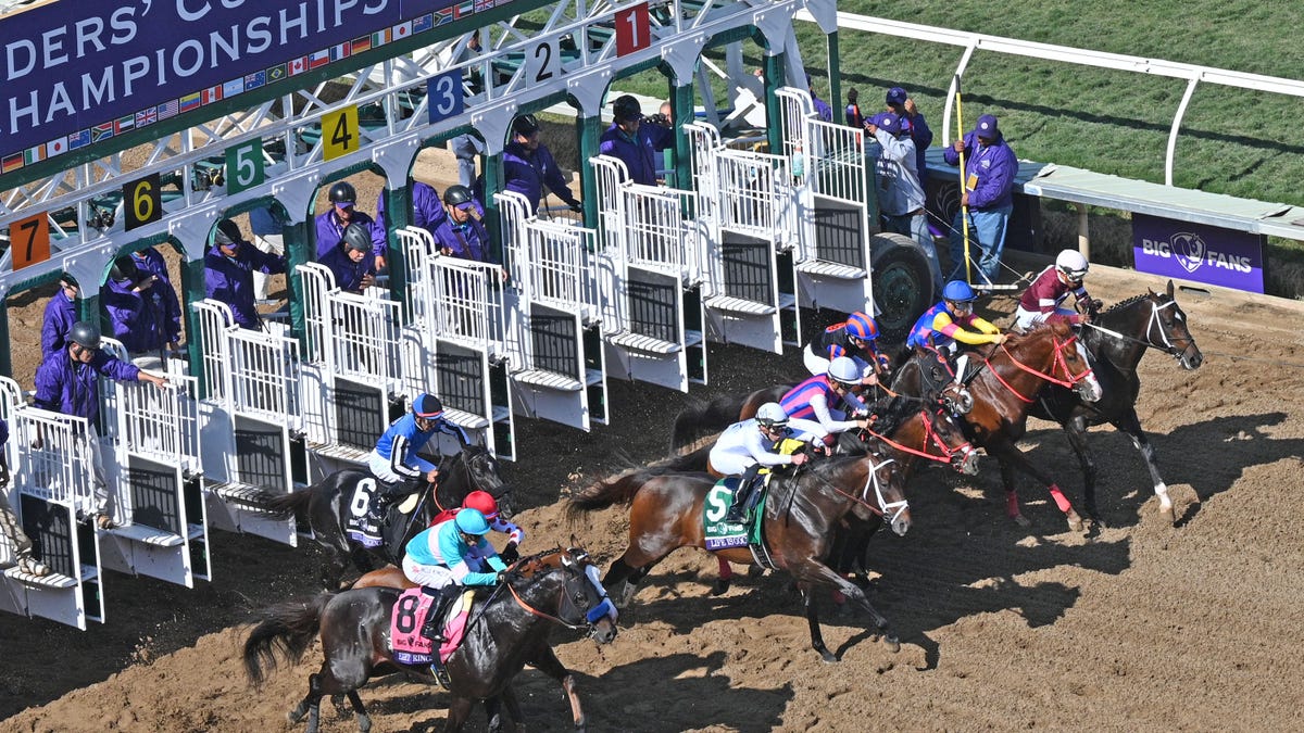 Horses break from the starting gate for the Breeders' Cup Dirt Mile on Nov. 6, 2021, at the Breeder's Cup World Championships in Del Mar, CA.