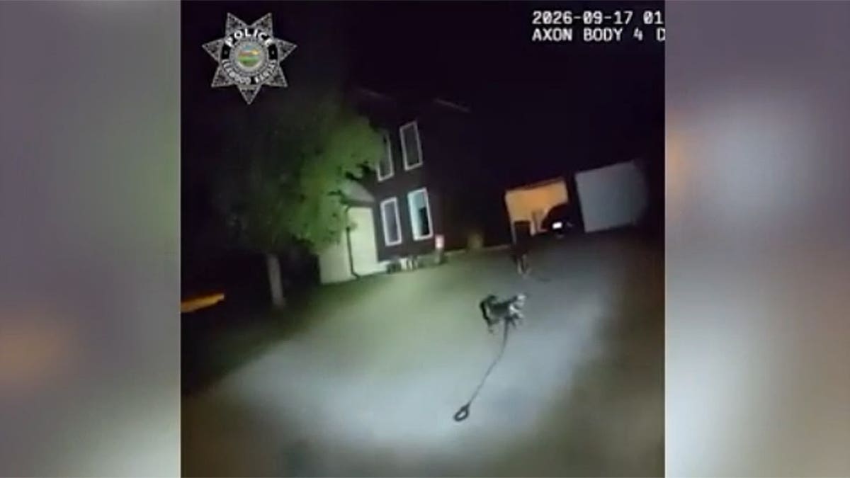 Dog leads police up driveway to garage at home