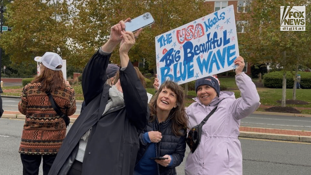 Demonstrators rally in Alexandria, Va, as part of the nationwide