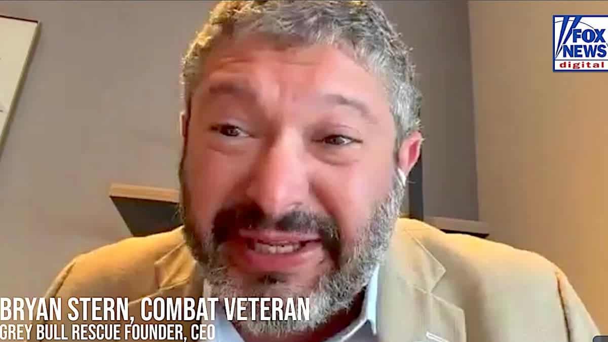Grey Bull Rescue's Bryan Stern speaks to Fox News Digital
