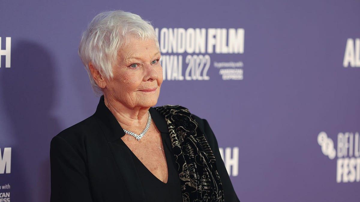 Judi Dench at a premiere