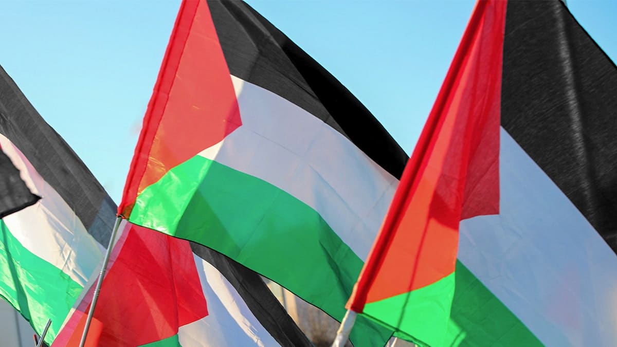 Palestinian flags