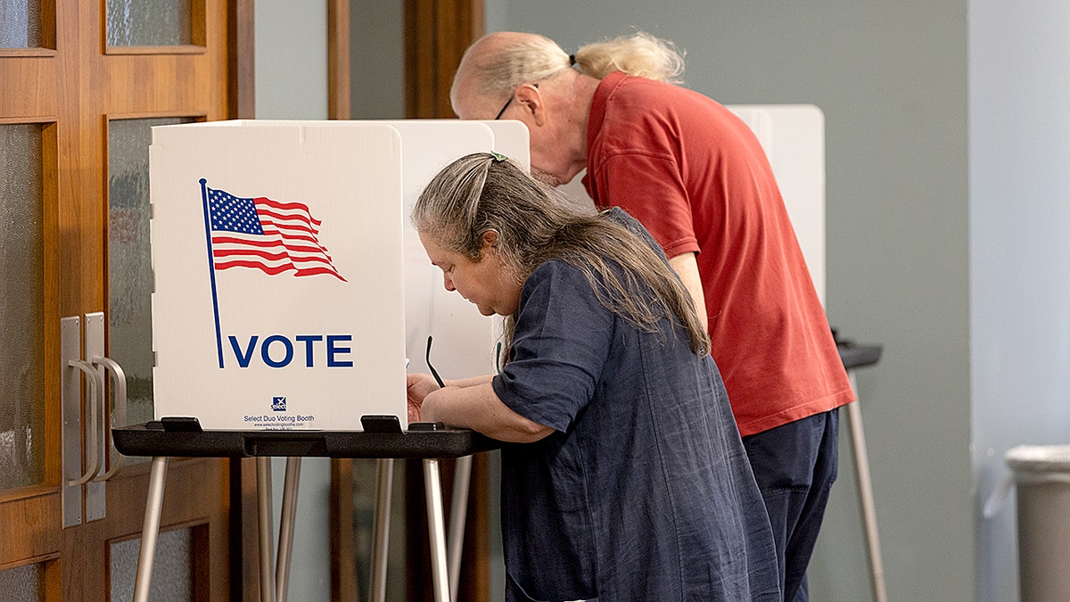 Voters at the voting booth.